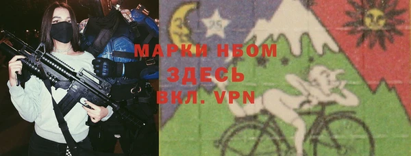 индика Бежецк