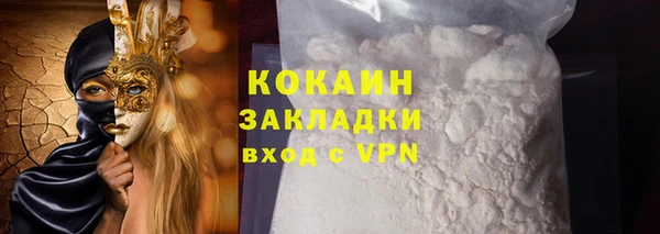 прущие грибы Няндома