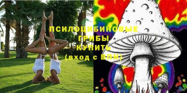 PSILOCYBIN Остров