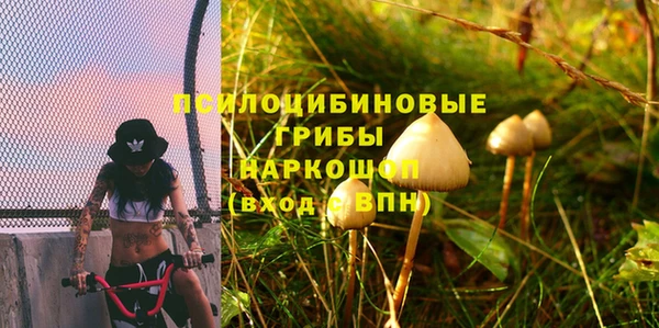 каннабис Осташков