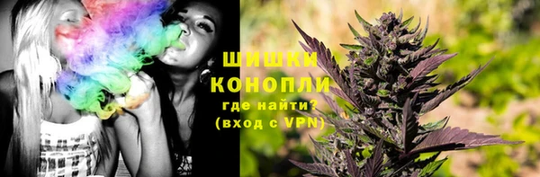 PSILOCYBIN Остров