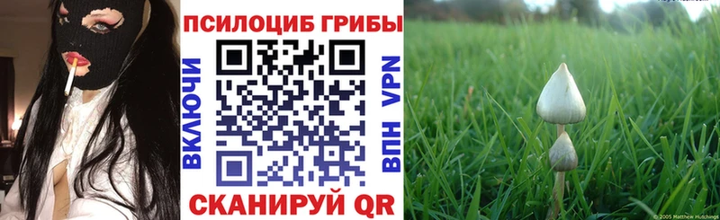 наркота  ОМГ ОМГ ONION  Псилоцибиновые грибы прущие грибы  Лакинск 